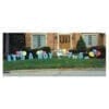it's a boy yard greetings yard cards lawn signs happy birthday party rentals michigan