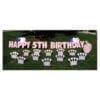 princess yard greetings yard cards lawn signs happy birthday party rentals michigan 3